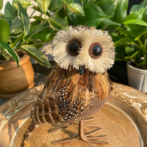 Owl Feathers Real Etsy