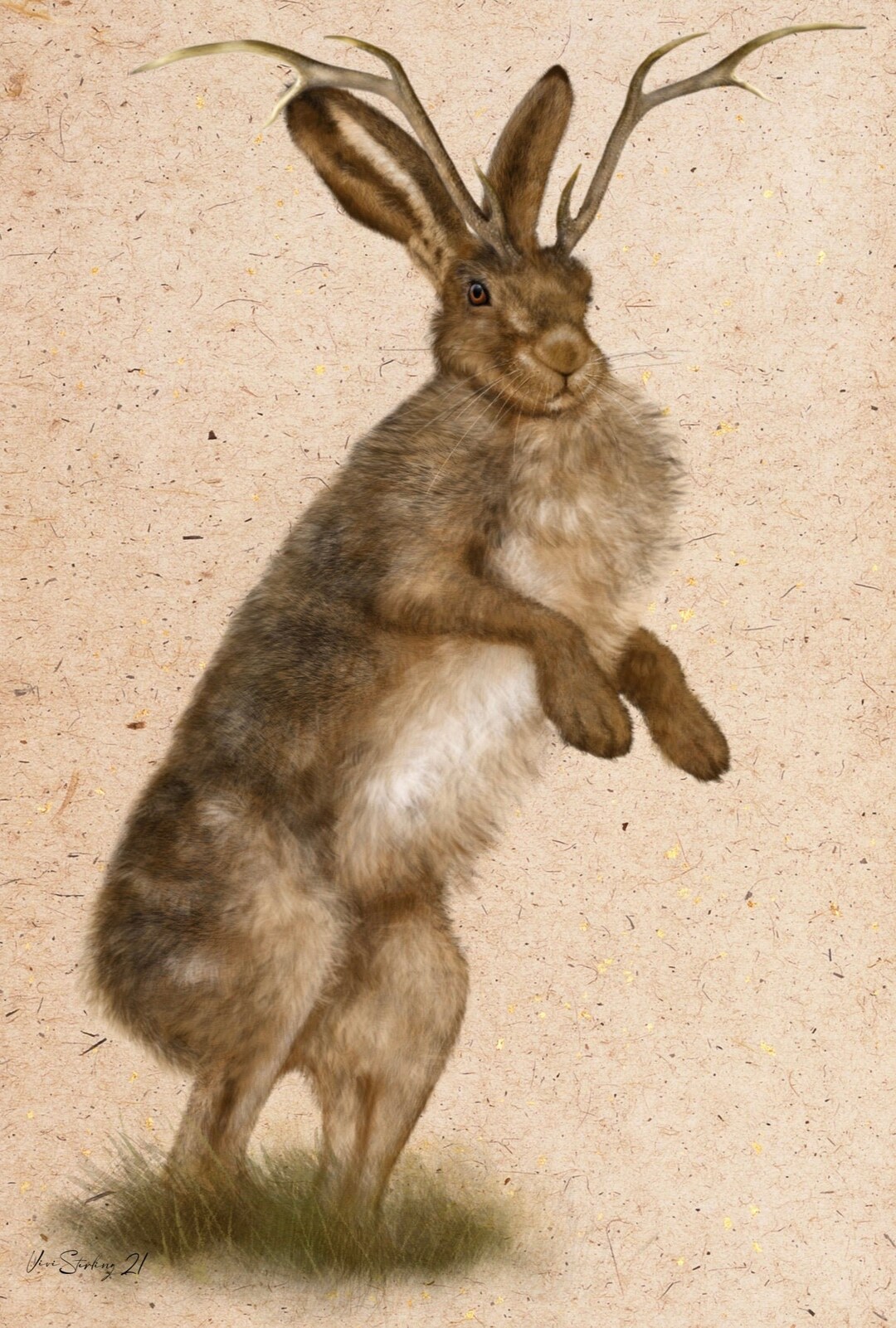 Jackalope Moonstone Recurvebogen – Einteilig, 60 Zoll, Rechtshand, Zuggewicht 30–60 Lbs, Aus Dymondwood & Ahorn, Inkl. Sehne