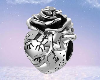 Anatomical Heart Charm Human Organ Medical Charm,925 Sterling Silver Charms for Bracelet,Necklace Pendant