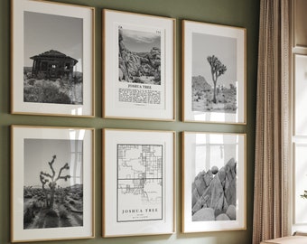Joshua Tree National Park Print Set: Black and White Photo Gallery