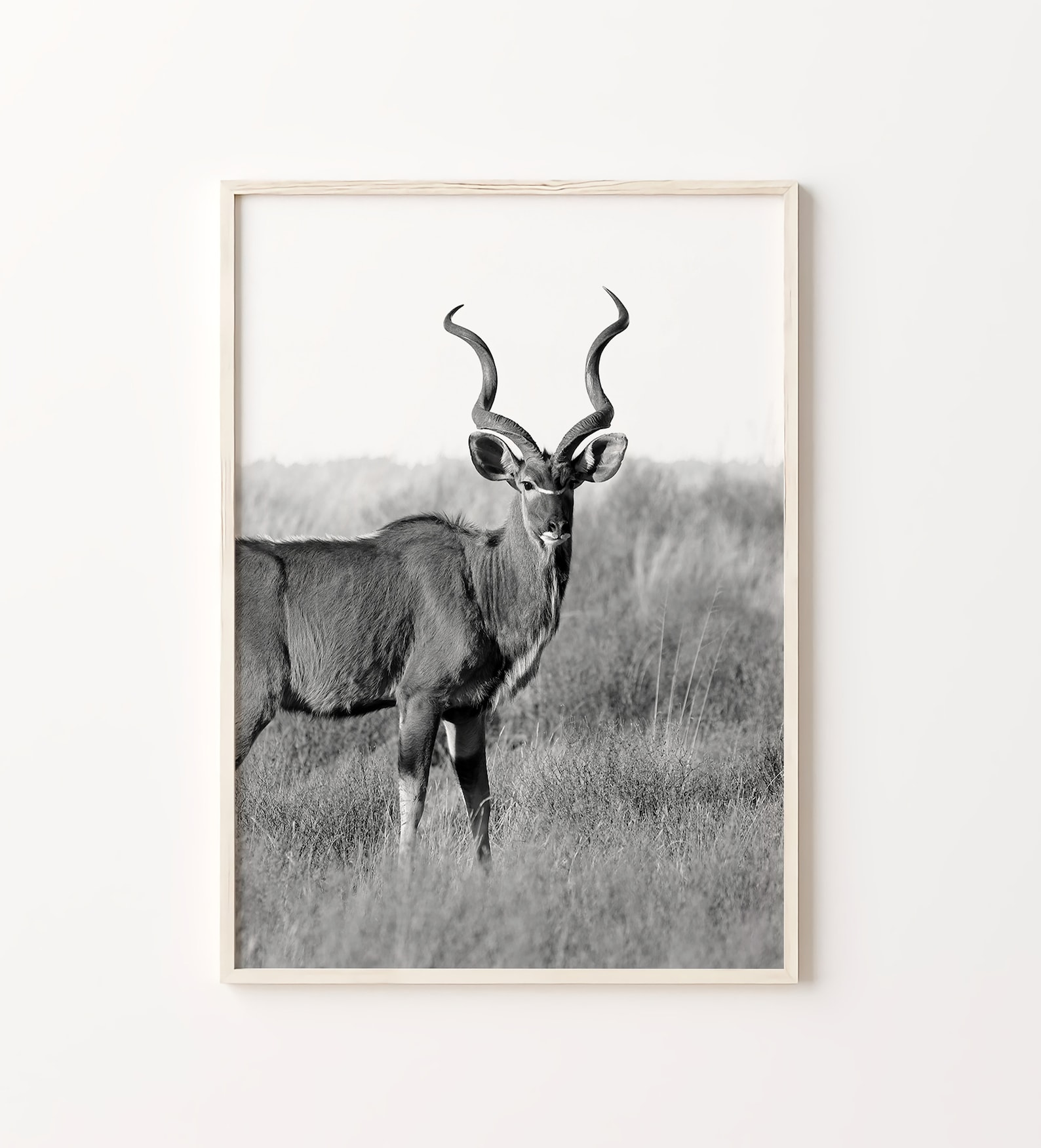 South Africa Prints South Africa Black and White Prints Set Etsy