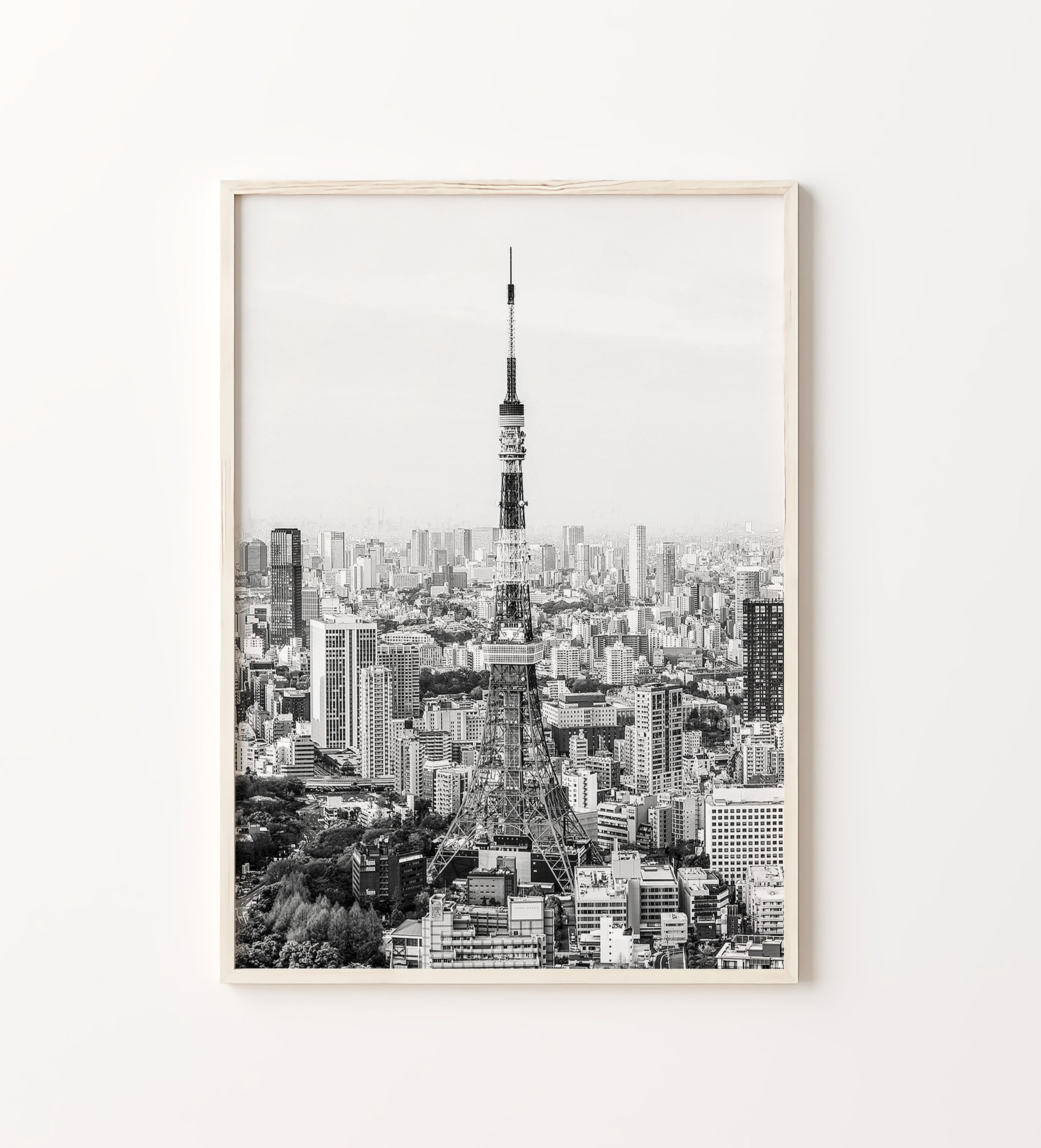 洋書 TOKYO ART & PHOTOGRAPHY Tokyo: Art & Photography