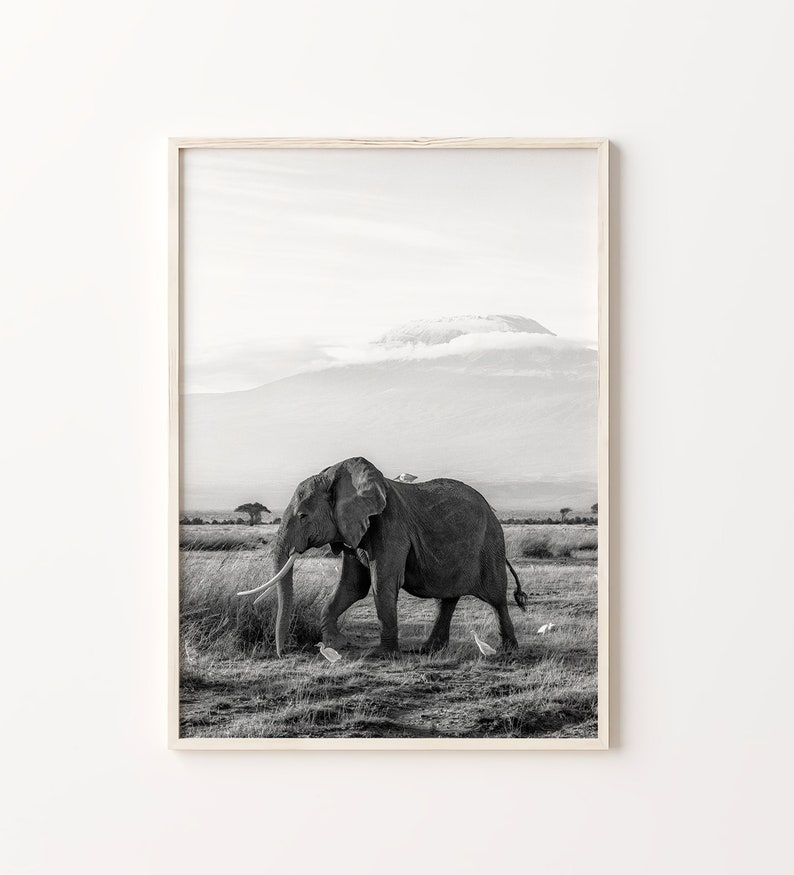 Kenya Prints Kenya Black and White Prints Set of 6 Kenya Etsy