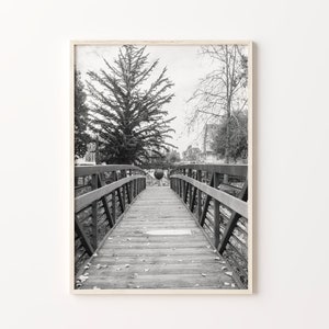 May include: A black and white photograph of a wooden bridge with metal railings leading to a tree in the distance. The bridge is surrounded by trees and foliage.