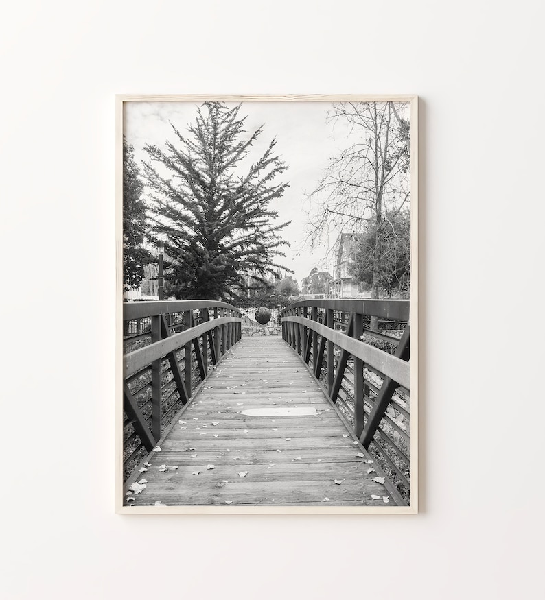 May include: A black and white photograph of a wooden bridge with metal railings leading to a tree in the distance. The bridge is surrounded by trees and foliage.