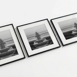May include: Three framed monochrome photographs of a tiered fountain with a pineapple-shaped top. The fountain is in a garden setting, and the frames are arranged at an angle on a white surface.