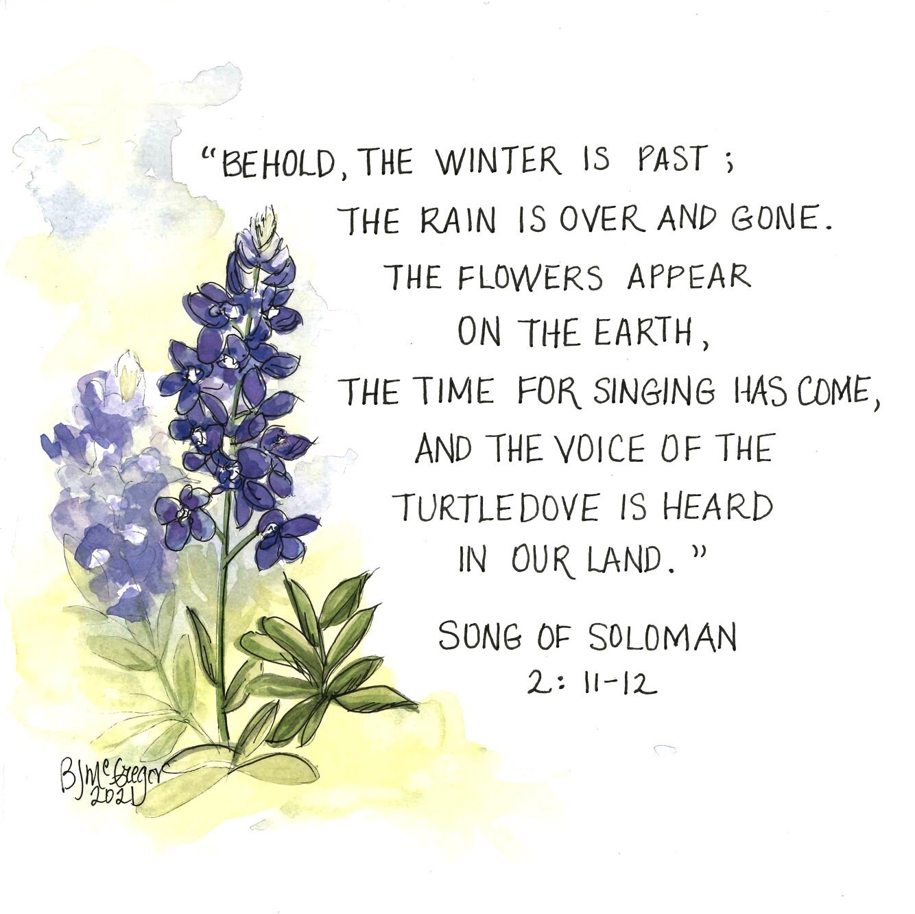 ART PRINT - Texas Bluebonnets Along With the Beautiful Verse From Song ...