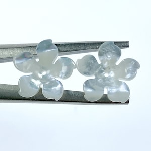 Flower Beads Hand Carved Natural White Mother of Pearl 5-petal Floral Charms Pendants WM-0153-15