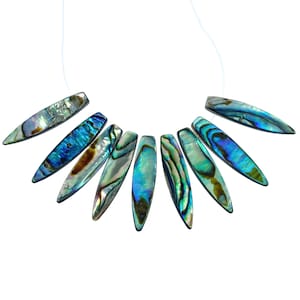 May include: A strand of iridescent abalone shell beads in a teardrop shape. The beads are strung on a white cord and are arranged in a fan shape.
