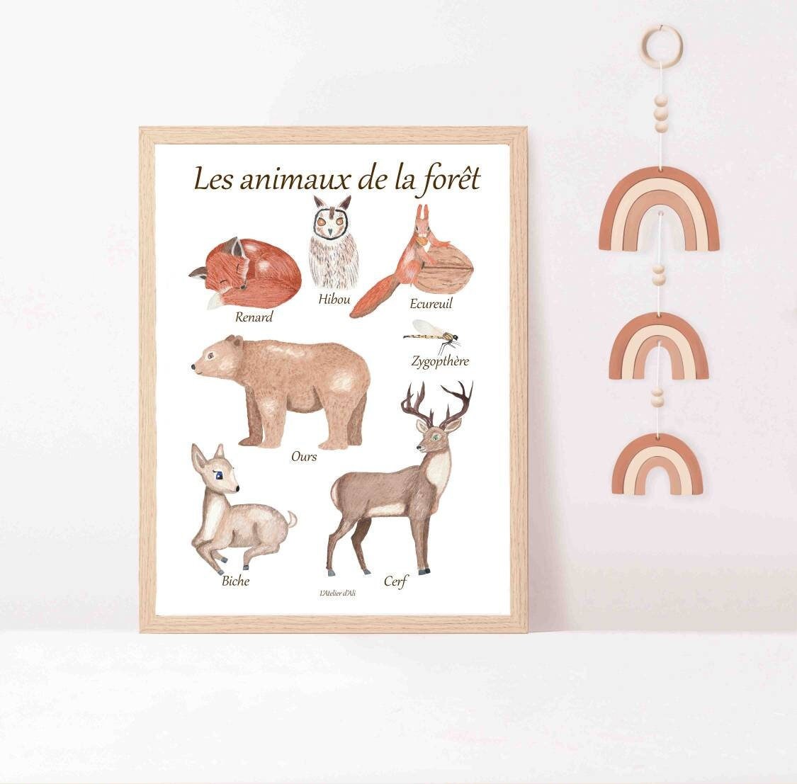 Affiche Les Animaux de La Forêt