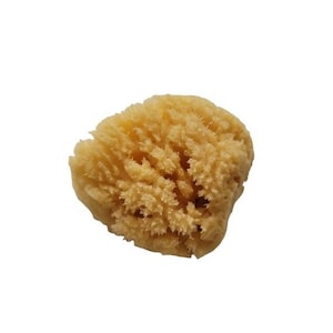Dead Sea Sponge - All Natural - Luffah Sponge - Exfoliator - Gift