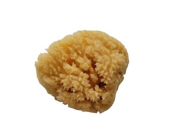 Dead Sea Sponge - All Natural - Luffah Sponge - Exfoliator - Gift