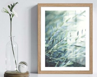 Oak picture frames, CLARA wooden picture frames made in Germany, poster frames with glass in various sizes