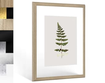 Double-glazed frame in Baroque style Calypso, double glazing with floating effect for dried flowers, plants or photos, vintage design