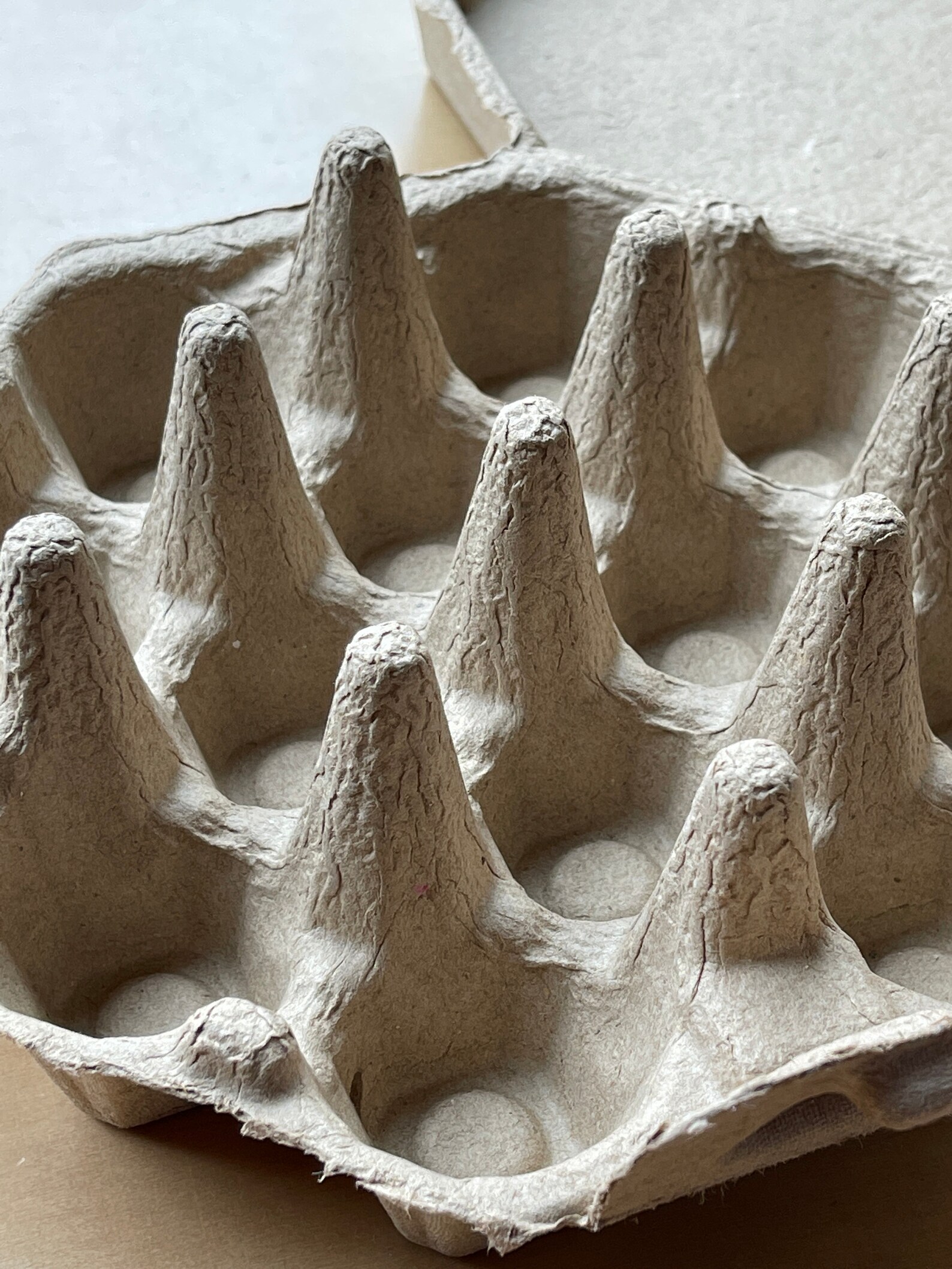 Octagon Egg Cartons Recycled Egg Cartons Egg Holder Gift Etsy