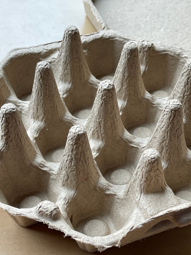 Octagon Egg Cartons Recycled Egg Cartons Egg Holder Gift Etsy New Zealand