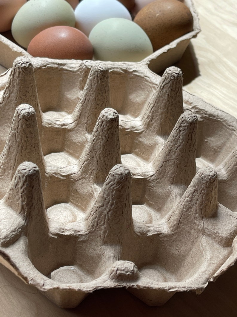 Octagon Egg Cartons Recycled Egg Cartons Egg Holder Gift Etsy Ireland