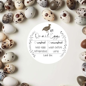 Quail Egg Stickers | Personalized Farm Stickers |Washed & Unwashed Egg Stickers