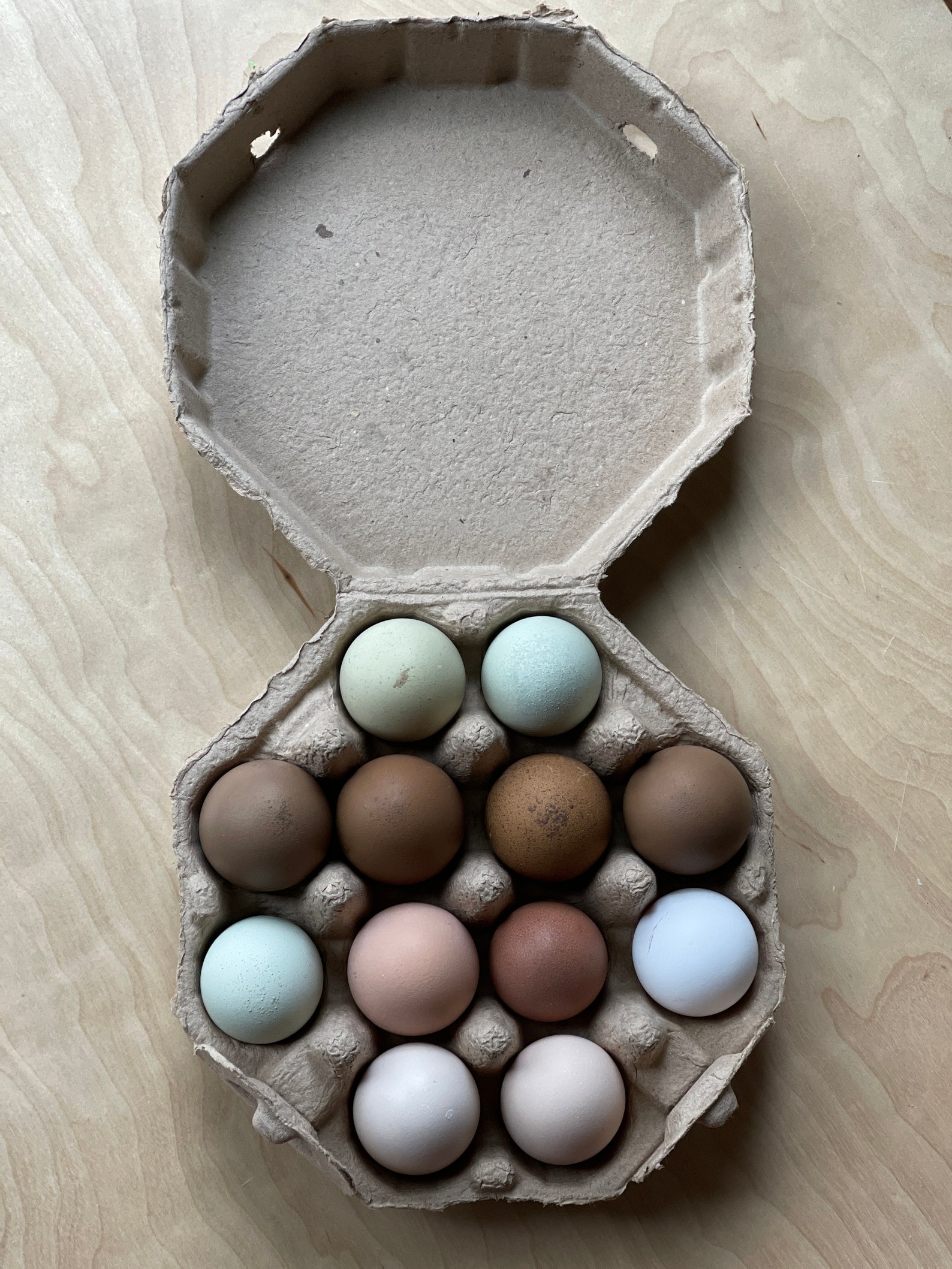 Octagon Egg Cartons Recycled Egg Cartons Egg Holder Gift Etsy
