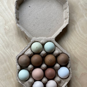 Octagon Egg Cartons, Recycled Egg Cartons, Egg Holder, Gift Boxes, Unique Egg Cartons, Blank Egg Cartons, Farm Supplies