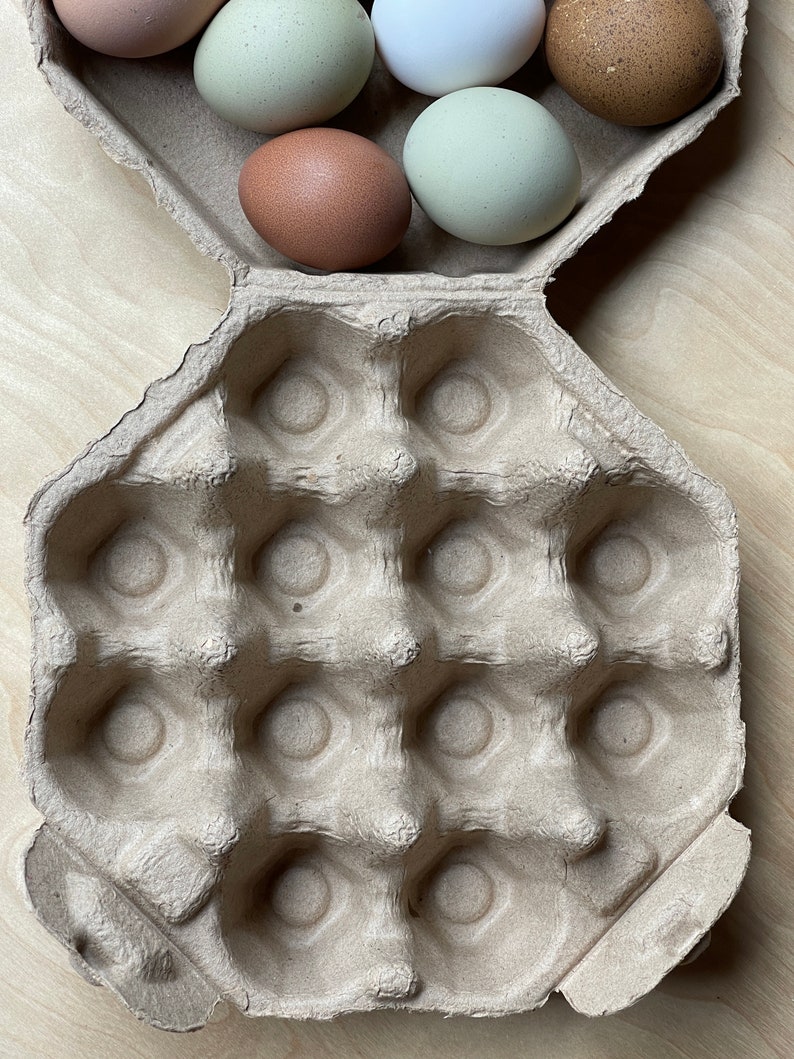 Octagon Egg Cartons Recycled Egg Cartons Egg Holder Gift Etsy Canada