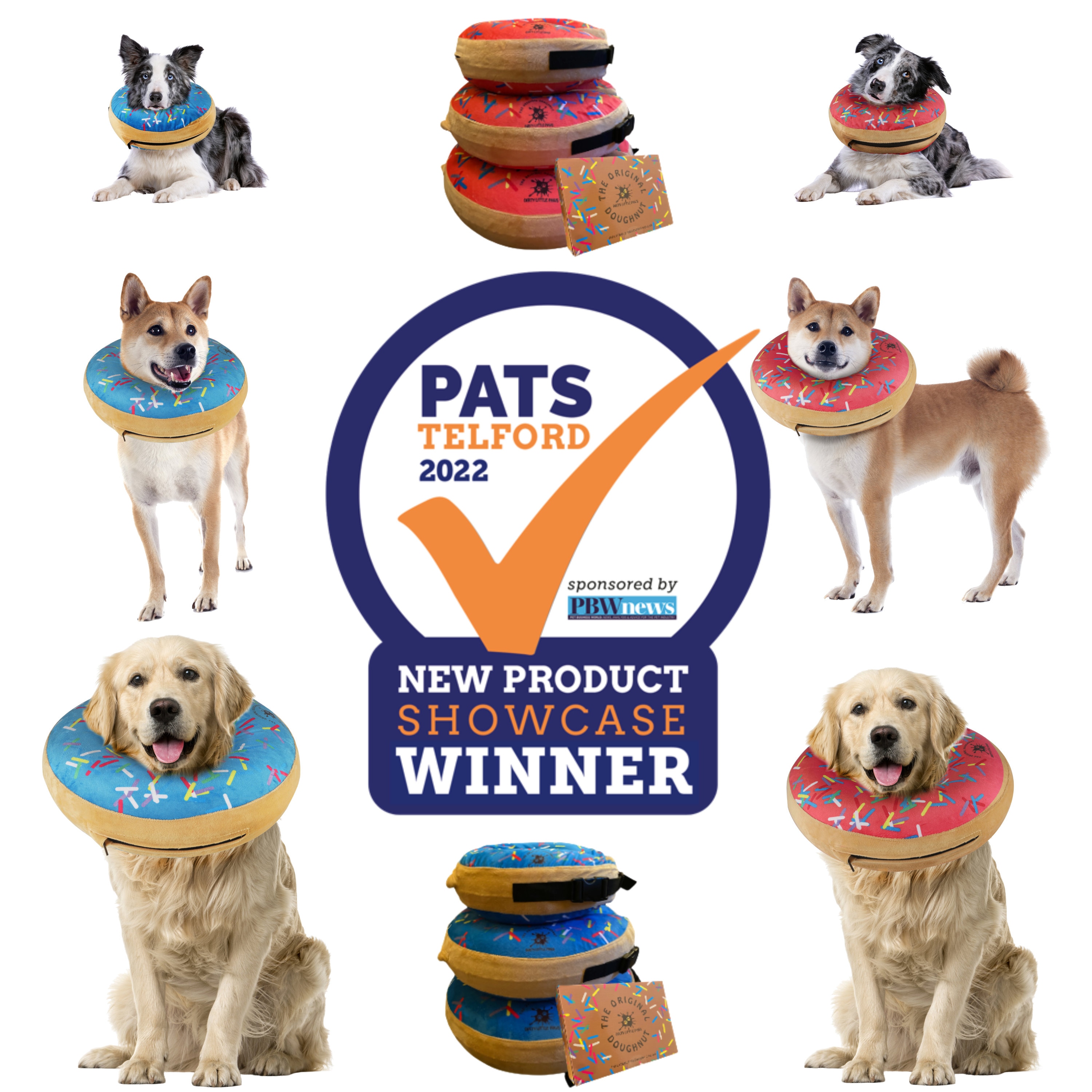 Dog cone hotsell pet valu
