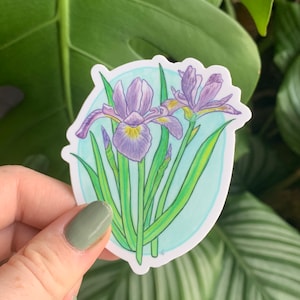 Fleur provinciale du Québec - Le drapeau bleu (Iris versicolor) - Adorable autocollant mat de haute qualité | Stickers ordinateur portable, iPhone, journal intime