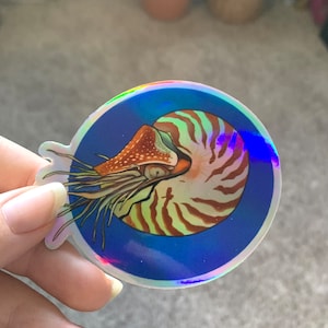 Ammonite Sea Creature Holographic Sticker - 75mm x 65mm - High Quality Die Cute Holographic Sticker - Cute Waterbottle/Tumbler, Laptop Decor
