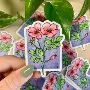 Wild Rose - Alberta - Provincial Flower Collection | High Quality Matte Die-Cut Sticker - Waterbottle/Tumbler, Laptop decal