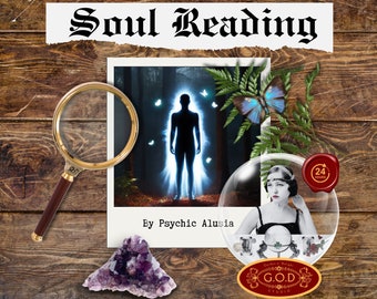 Soul Reading (Within 24 hours)