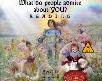 May include: A digital graphic featuring the text What do people admire about YOU? READING, Mystic ELLE, and a NO AI warning sign. The image depicts a knight in armor surrounded by figures in a flower-filled meadow under a rainbow.