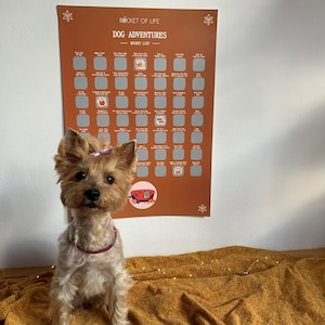 49 Dog Adventures Actvities - Cadeau de Noël, Cadeau d’anniversaire, Cadeau pour le propriétaire de chien, Affiche de liste de seaux à gratterA2 420x594 mm / 16.53x23.39 in