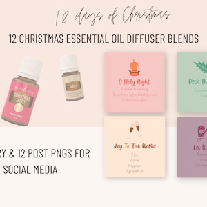 Könnte beinhalten: Zwölf Weihnachts-Duftöl-Diffuser-Mischungen mit Illustrationen und Namen für jede Mischung. Die Mischungen umfassen "O Holy Night", "Deck The Halls", "Joy To The World" und "Let It Snow".
