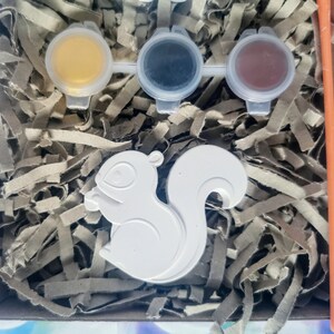 May include: A white ceramic squirrel figurine with a paint-by-numbers design. The kit includes three small paint pots with yellow, black, and brown paint.