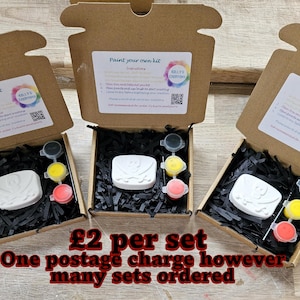 May include: Three open brown cardboard boxes containing a white plaster pirate-themed shape, two small paint pots in yellow and red, and a black paintbrush, all nestled in black shredded paper. Each box lid features a label with instructions.