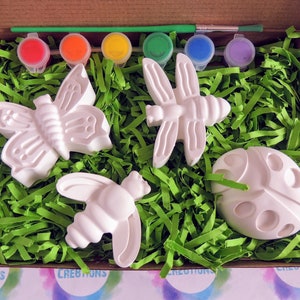 May include: A craft kit with four white ceramic figurines of a butterfly, dragonfly, bee, and ladybug. The kit includes six small paint pots in red, orange, yellow, green, blue, and purple, and a paintbrush. The figurines are sitting on green shredded paper in a cardboard box.