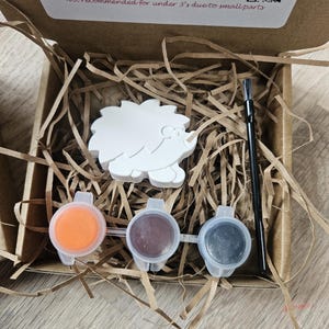 May include: A craft kit in a cardboard box, featuring a white hedgehog figure, three paint pots in orange, brown, and gray, and a paintbrush. The box contains shredded paper for cushioning. Text on the box reads: "Open paints and use brush to start creating."