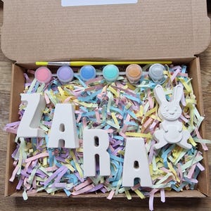 May include: A craft kit for painting ceramic letters that spell out the name "ZARA" with a small ceramic bunny figurine. The kit includes six small paint pots, a paintbrush, and colorful shredded paper.