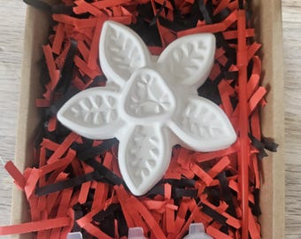 Paint Your Own Monster flower Set.  Gift box set for kids, kids craft kit, mother's day gift idea, kids activity