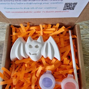 May include: A craft kit featuring a white bat figurine, paint pots, and a paintbrush, nestled in orange paper shreds inside a cardboard box. The kit includes instructions and a QR code for more creations.