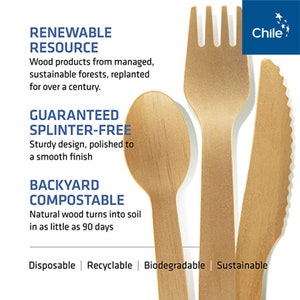 Disposable Wooden Forks, Spoons, Knives Set by Woodable Alternative to Plastic Cutlery FSC Certified Eco Biodegradable Replacements image 2