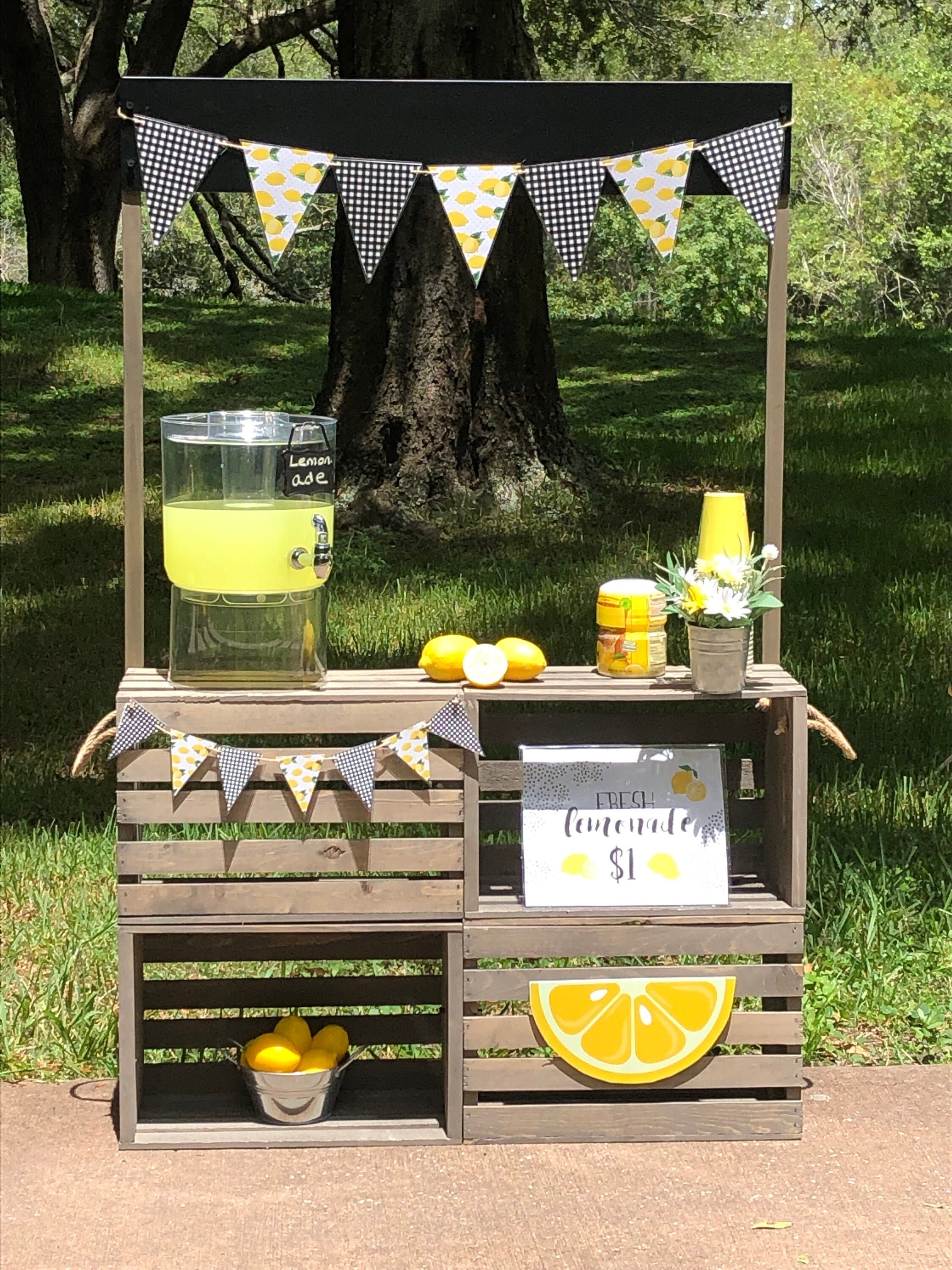Lemonade Stand Complete With Accessories and Decor Etsy
