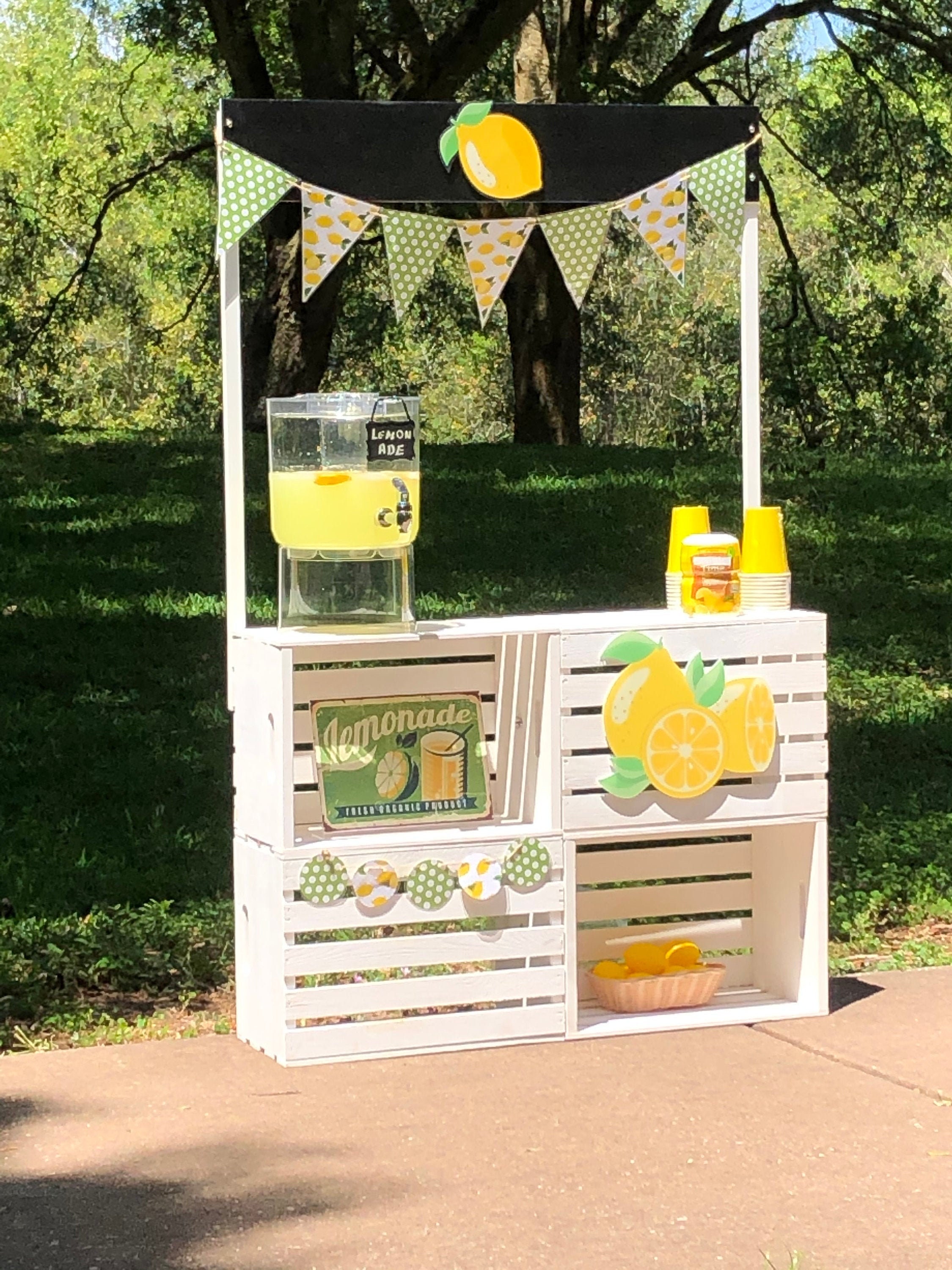 Lemonade Stand Complete With All Accessories And Decor Etsy