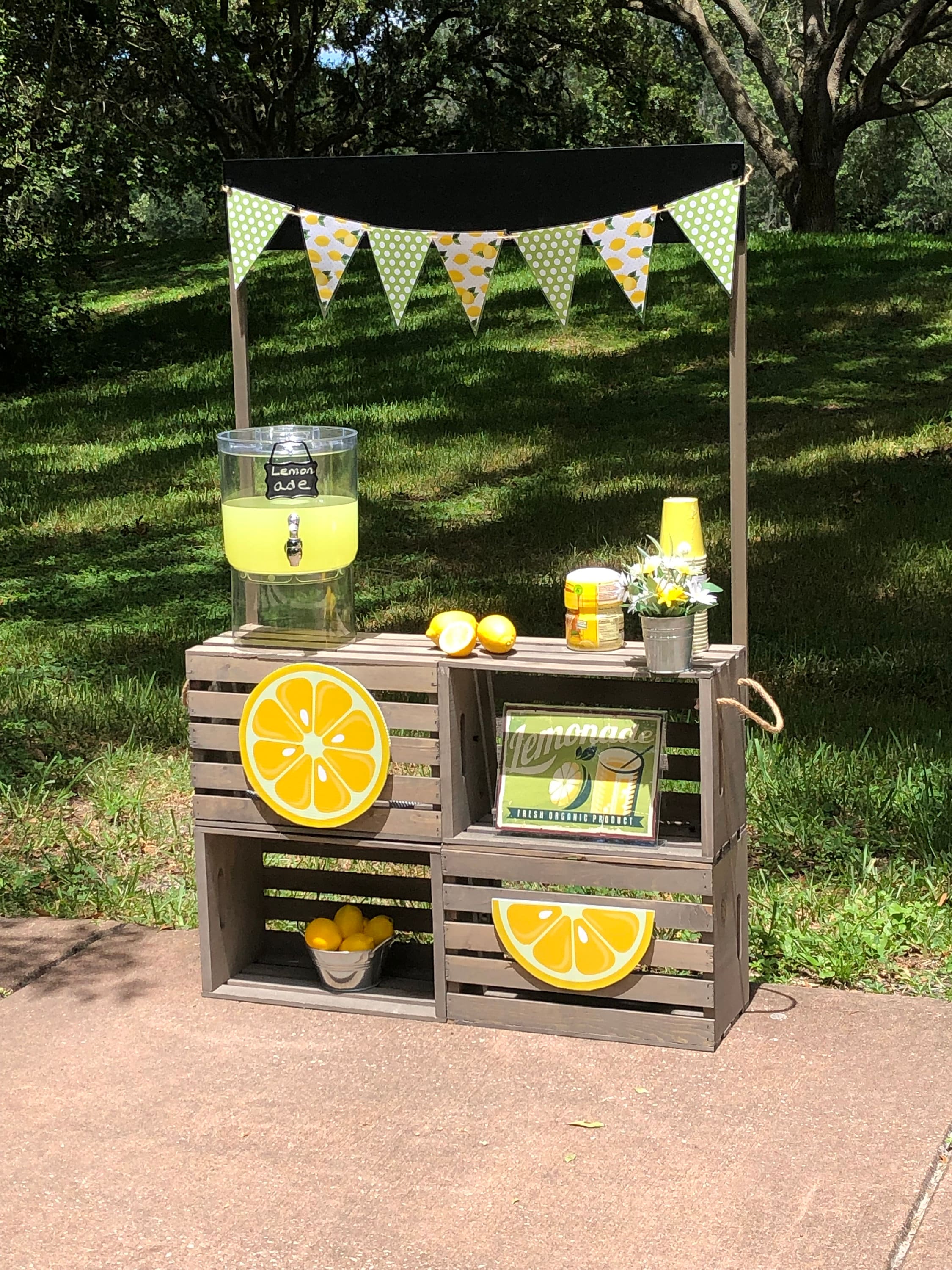Lemonade Stand Complete With All Accessories and Decor Etsy