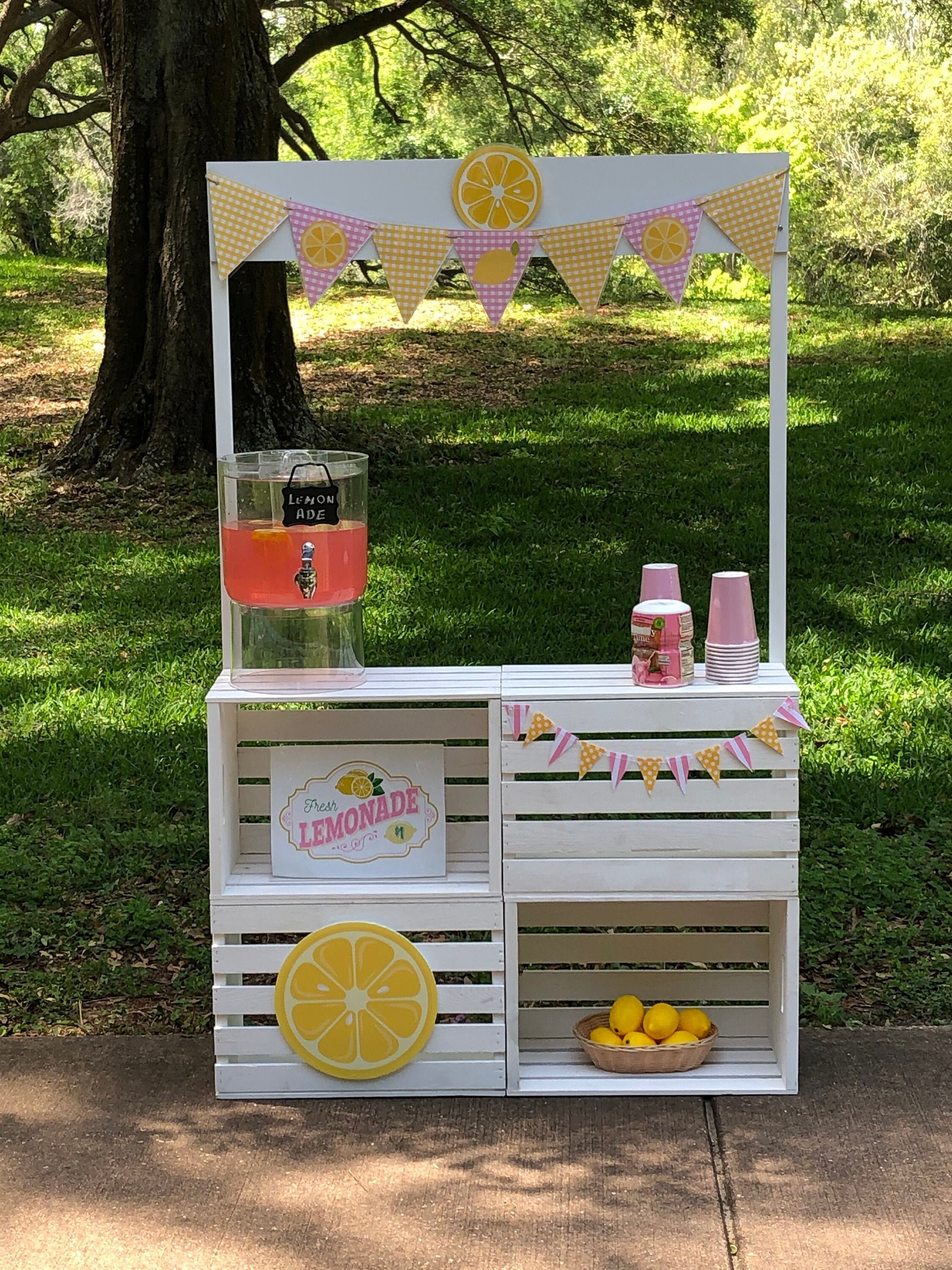 Lemonade Stand Complete With All Accessories and Decor Etsy