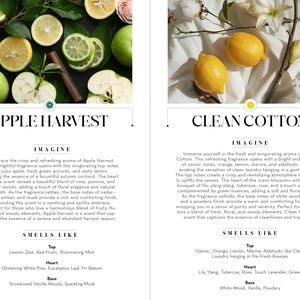 Op de afbeelding: Twee kaarsenpotten met etiketten waarop "Apple Harvest" en "Clean Cotton" staat. De potten zijn omringd door afbeeldingen van appels, citroenen en katoen. De etiketten bevatten ook beschrijvingen van de geuren, zoals "Imagine" en "Ruikt naar".