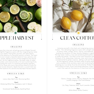 May include: Two product advertisements. One features sliced apples, lemons, and cinnamon sticks with the text "Apple Harvest." The other shows lemons and cotton with the text "Clean Cotton."