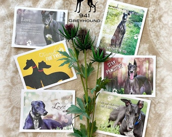 Black Greyhounds 6 card set, Greyhound Card, Greeting Card, Greyhounds