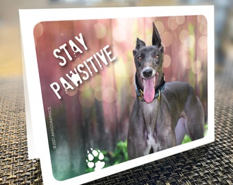 Greyhound Card, Greeting Card, Greyhounds, Blank Card, STAY POWSITIVE