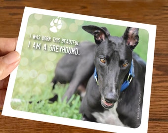 Greyhound Card, Greeting Card, Greyhounds, Blank Card, BORN BEAUTIFUL